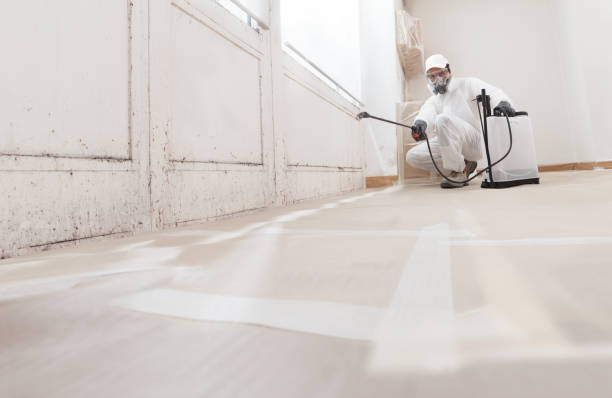 24/7 Emergency Mold Remediation experts in Marion, NC