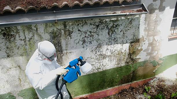 Top rated local Mold Remediation specialists in Marion, NC